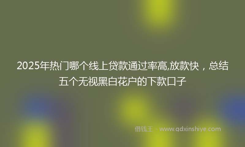 2025年热门哪个线上贷款通过率高,放款快，总结五个无视黑白花户的下款口子