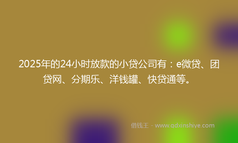 2025年的24小时放款的小贷公司有：e微贷、团贷网、分期乐、洋钱罐、快贷通等。