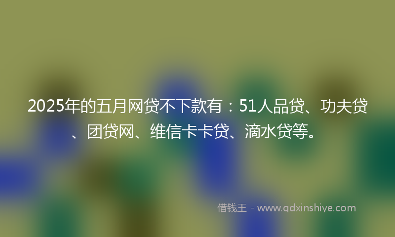 2025年的五月网贷不下款有：51人品贷、功夫贷、团贷网、维信卡卡贷、滴水贷等。
