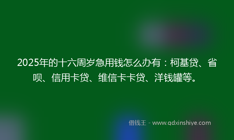 2025年的十六周岁急用钱怎么办有：柯基贷、省呗、信用卡贷、维信卡卡贷、洋钱罐等。