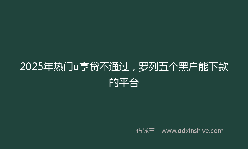 2025年热门u享贷不通过，罗列五个黑户能下款的平台