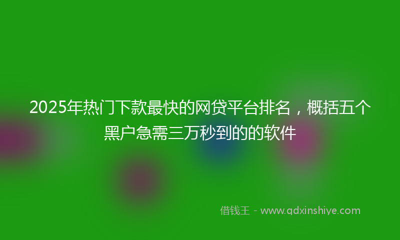 2025年热门下款最快的网贷平台排名，概括五个黑户急需三万秒到的的软件