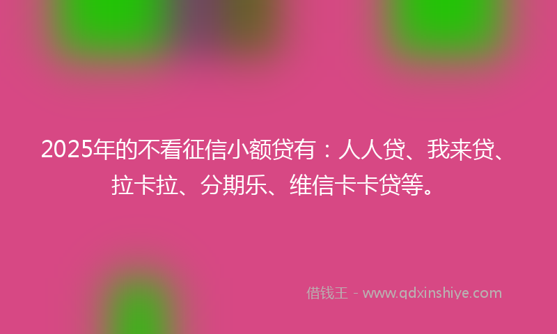 2025年的不看征信小额贷有：人人贷、我来贷、拉卡拉、分期乐、维信卡卡贷等。