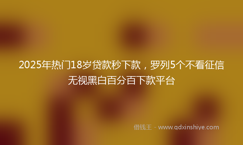 2025年热门18岁贷款秒下款，罗列5个不看征信无视黑白百分百下款平台