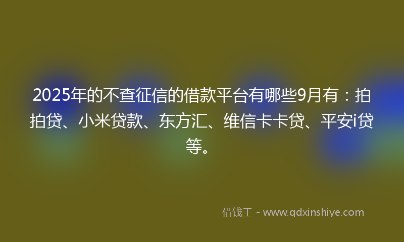 2025年的不查征信的借款平台有哪些9月有：拍拍贷、小米贷款、东方汇、维信卡卡贷、平安i贷等。