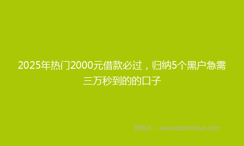 2025年热门2000元借款必过，归纳5个黑户急需三万秒到的的口子