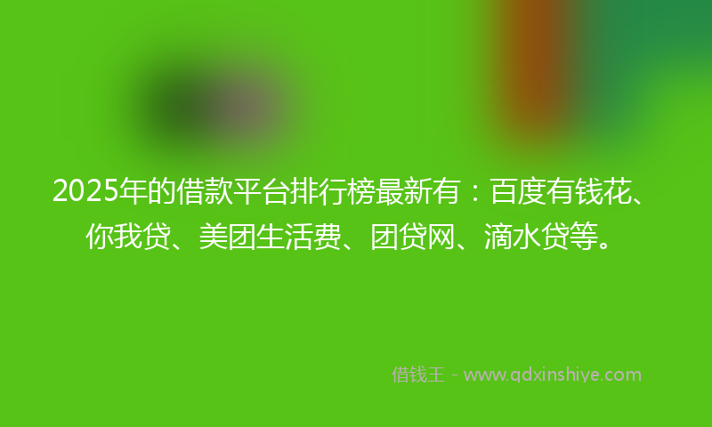 2025年的借款平台排行榜最新有：百度有钱花、你我贷、美团生活费、团贷网、滴水贷等。