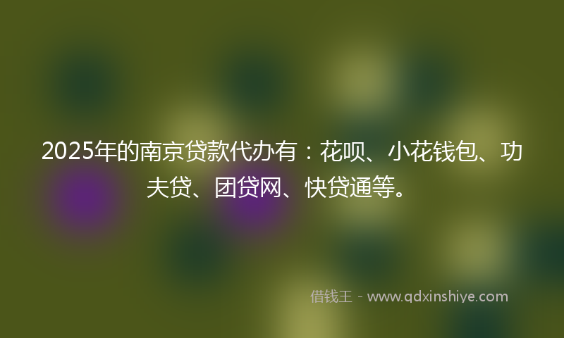 2025年的南京贷款代办有：花呗、小花钱包、功夫贷、团贷网、快贷通等。
