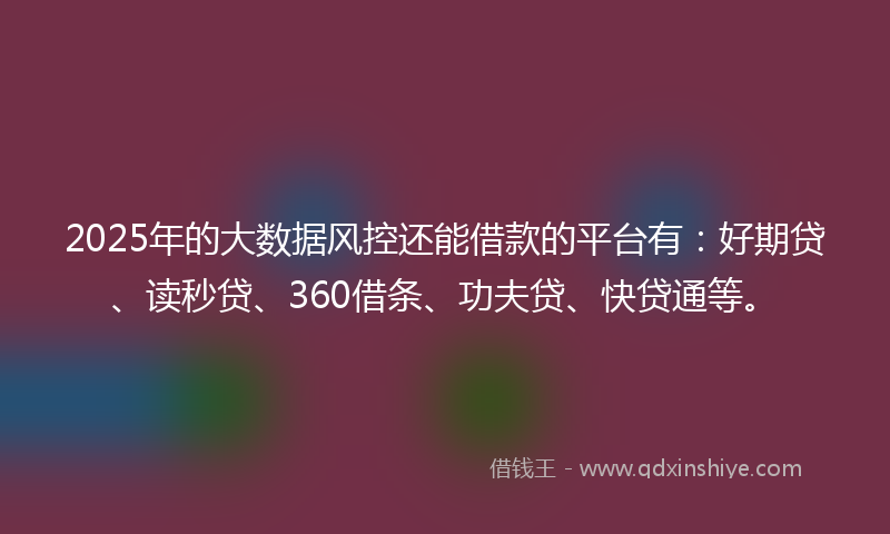 2025年的大数据风控还能借款的平台有：好期贷、读秒贷、360借条、功夫贷、快贷通等。