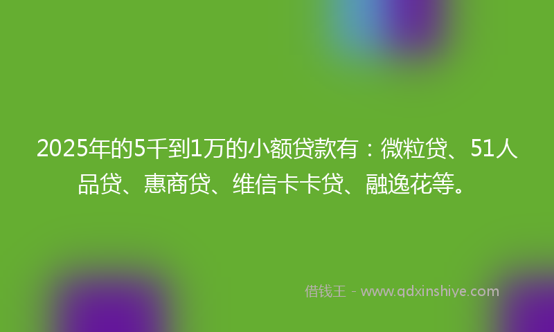2025年的5千到1万的小额贷款有：微粒贷、51人品贷、惠商贷、维信卡卡贷、融逸花等。