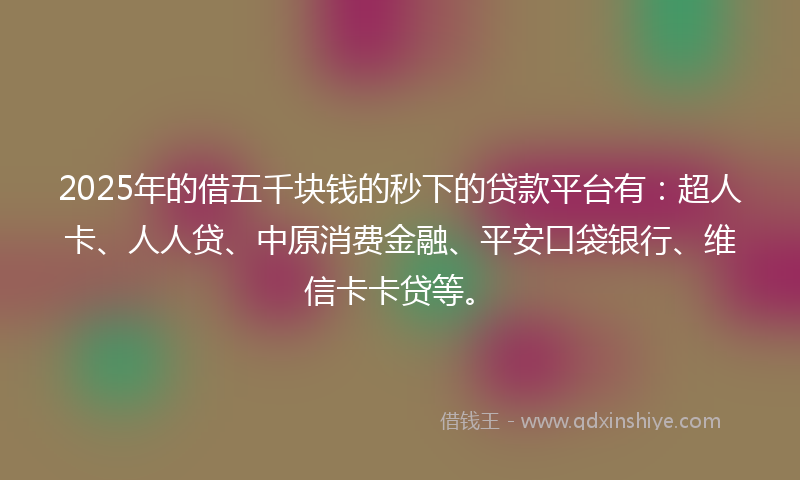 2025年的借五千块钱的秒下的贷款平台有：超人卡、人人贷、中原消费金融、平安口袋银行、维信卡卡贷等。