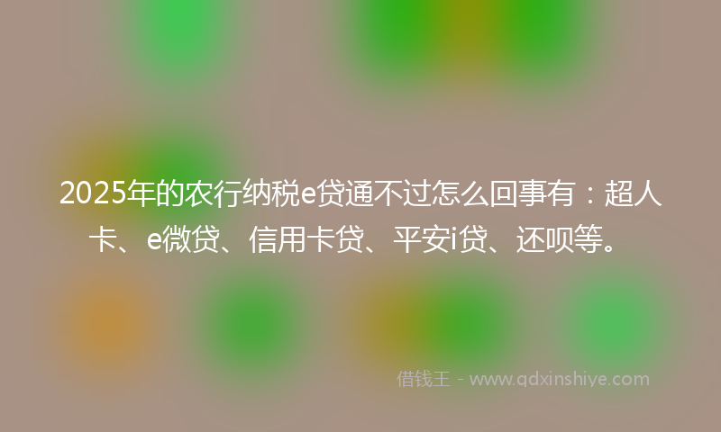 2025年的农行纳税e贷通不过怎么回事有：超人卡、e微贷、信用卡贷、平安i贷、还呗等。