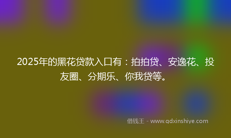 2025年的黑花贷款入口有：拍拍贷、安逸花、投友圈、分期乐、你我贷等。