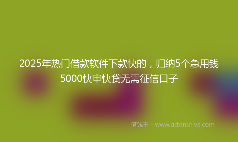 2025年热门借款软件下款快的，归纳5个急用钱5000快审快贷无需征信口子