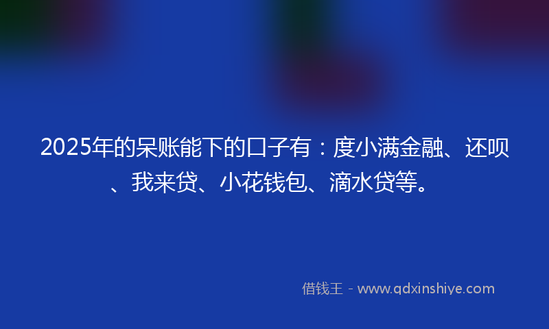 2025年的呆账能下的口子有：度小满金融、还呗、我来贷、小花钱包、滴水贷等。