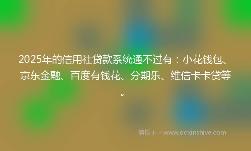2025年的信用社贷款系统通不过有：小花钱包、京东金融、百度有钱花、分期乐、维信卡卡贷等。