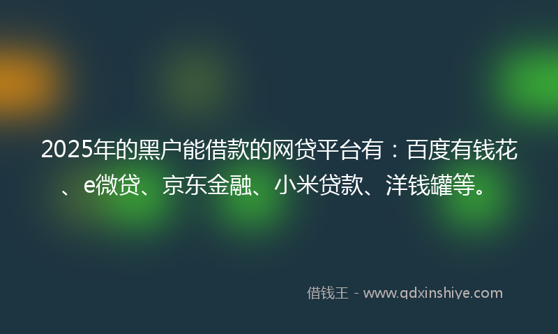 2025年的黑户能借款的网贷平台有：百度有钱花、e微贷、京东金融、小米贷款、洋钱罐等。