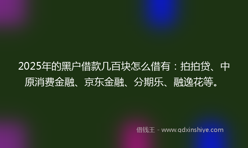 2025年的黑户借款几百块怎么借有：拍拍贷、中原消费金融、京东金融、分期乐、融逸花等。