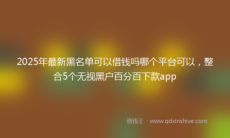 2025年最新黑名单可以借钱吗哪个平台可以，整合5个无视黑户百分百下款app