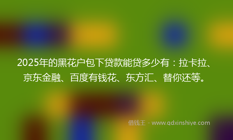 2025年的黑花户包下贷款能贷多少有：拉卡拉、京东金融、百度有钱花、东方汇、替你还等。