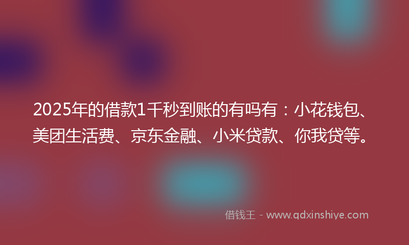 2025年的借款1千秒到账的有吗有：小花钱包、美团生活费、京东金融、小米贷款、你我贷等。