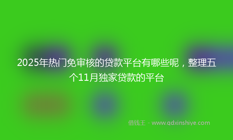 2025年热门免审核的贷款平台有哪些呢，整理五个11月独家贷款的平台