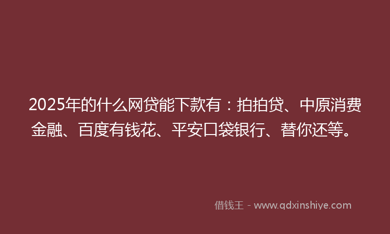 2025年的什么网贷能下款有：拍拍贷、中原消费金融、百度有钱花、平安口袋银行、替你还等。