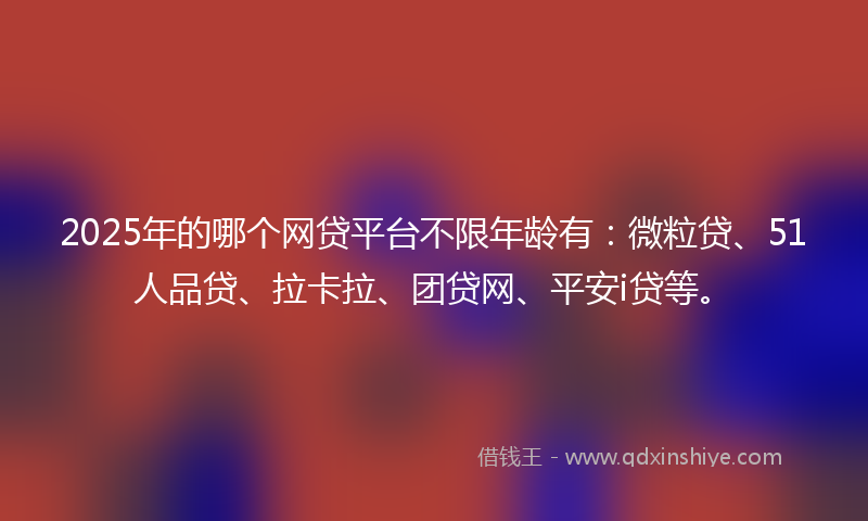 2025年的哪个网贷平台不限年龄有：微粒贷、51人品贷、拉卡拉、团贷网、平安i贷等。