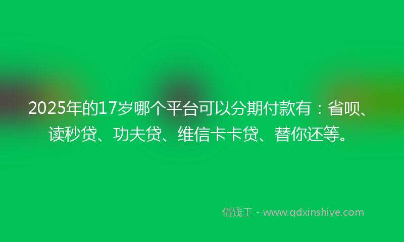 2025年的17岁哪个平台可以分期付款有：省呗、读秒贷、功夫贷、维信卡卡贷、替你还等。