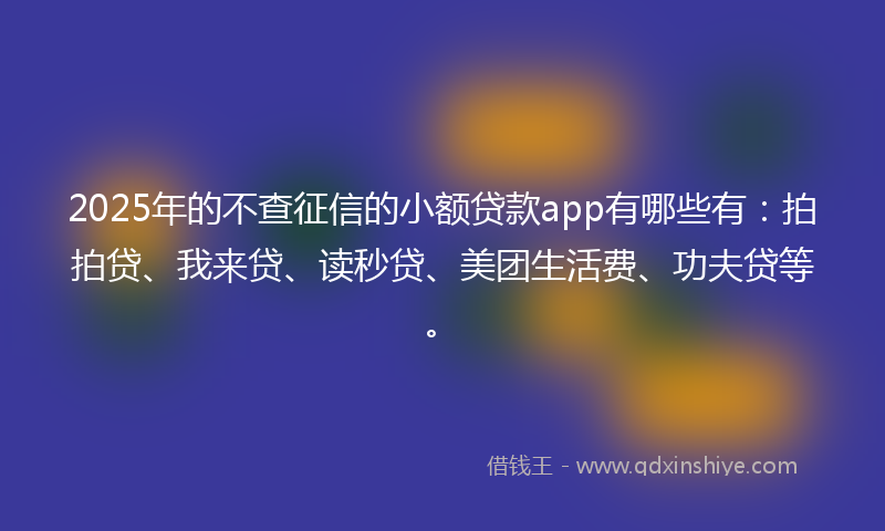 2025年的不查征信的小额贷款app有哪些有：拍拍贷、我来贷、读秒贷、美团生活费、功夫贷等。