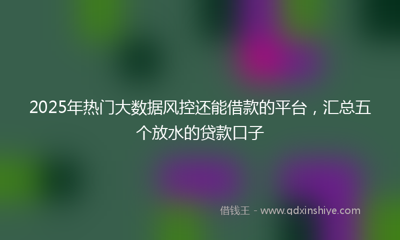 2025年热门大数据风控还能借款的平台，汇总五个放水的贷款口子