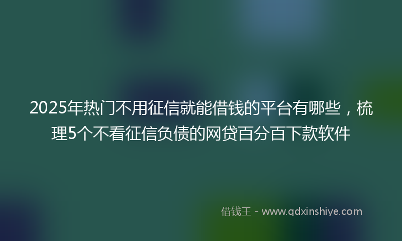 2025年热门不用征信就能借钱的平台有哪些，梳理5个不看征信负债的网贷百分百下款软件