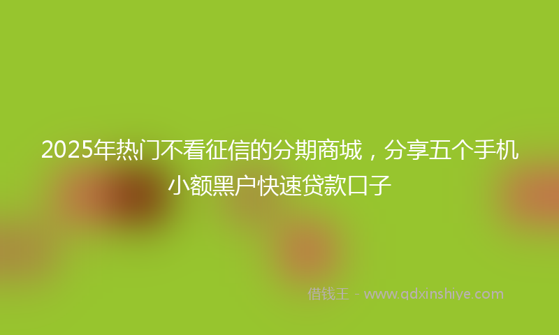 2025年热门不看征信的分期商城，分享五个手机小额黑户快速贷款口子