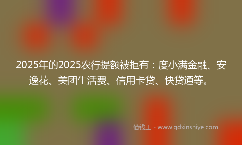 2025年的2025农行提额被拒有：度小满金融、安逸花、美团生活费、信用卡贷、快贷通等。