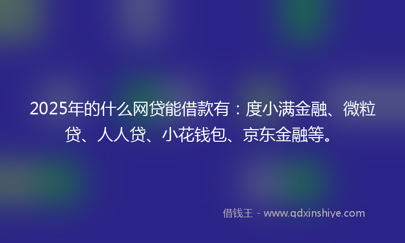 2025年的什么网贷能借款有：度小满金融、微粒贷、人人贷、小花钱包、京东金融等。