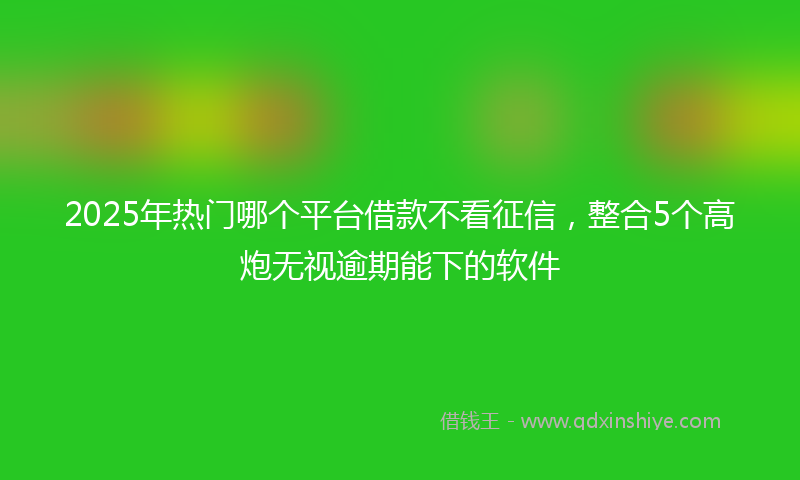 2025年热门哪个平台借款不看征信，整合5个高炮无视逾期能下的软件