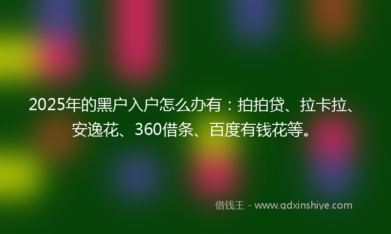 2025年的黑户入户怎么办有：拍拍贷、拉卡拉、安逸花、360借条、百度有钱花等。