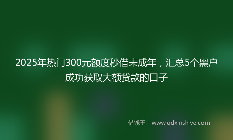 2025年热门300元额度秒借未成年，汇总5个黑户成功获取大额贷款的口子