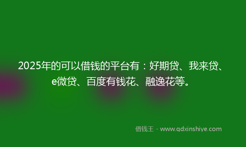 2025年的可以借钱的平台有：好期贷、我来贷、e微贷、百度有钱花、融逸花等。