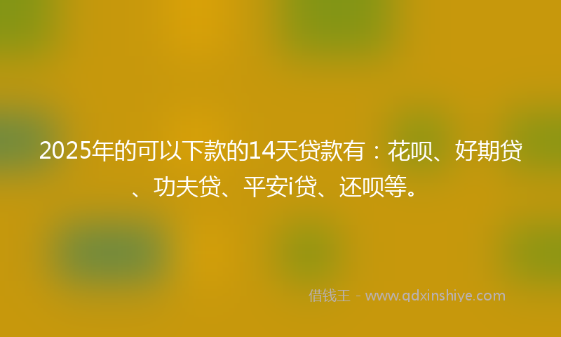 2025年的可以下款的14天贷款有：花呗、好期贷、功夫贷、平安i贷、还呗等。