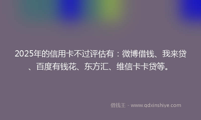 2025年的信用卡不过评估有：微博借钱、我来贷、百度有钱花、东方汇、维信卡卡贷等。