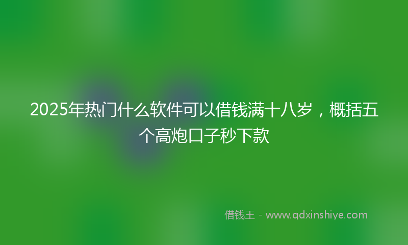 2025年热门什么软件可以借钱满十八岁，概括五个高炮口子秒下款