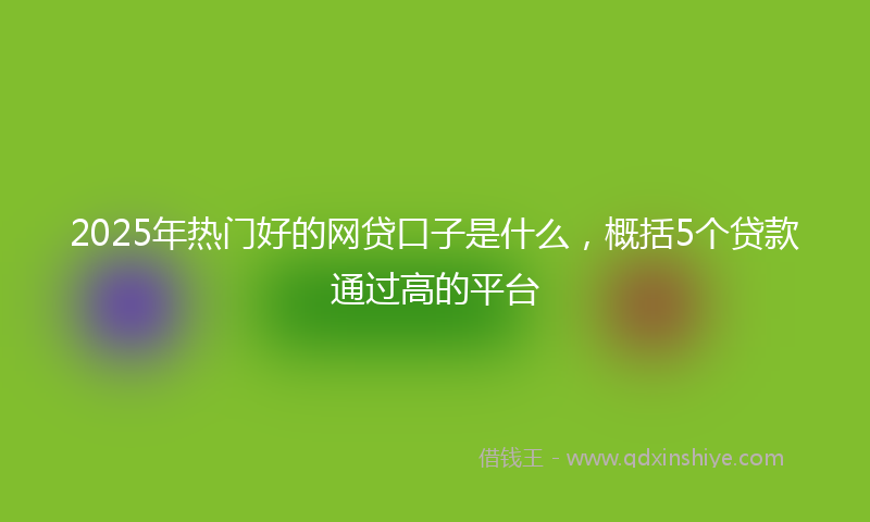 2025年热门好的网贷口子是什么，概括5个贷款通过高的平台