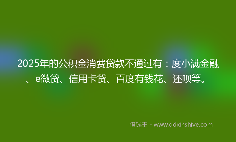 2025年的公积金消费贷款不通过有：度小满金融、e微贷、信用卡贷、百度有钱花、还呗等。