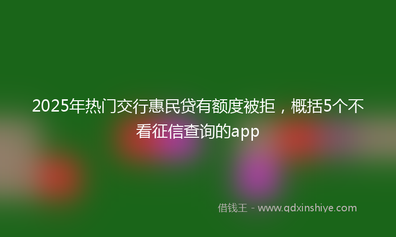 2025年热门交行惠民贷有额度被拒，概括5个不看征信查询的app
