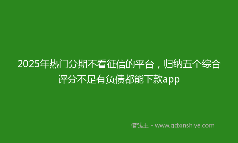 2025年热门分期不看征信的平台，归纳五个综合评分不足有负债都能下款app