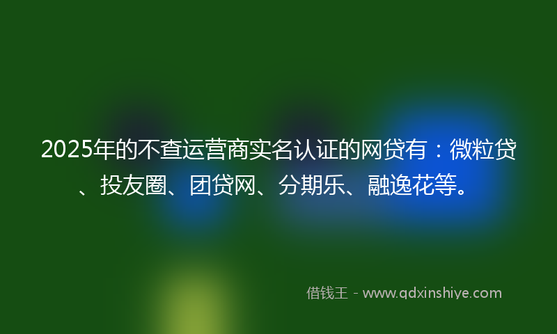 2025年的不查运营商实名认证的网贷有：微粒贷、投友圈、团贷网、分期乐、融逸花等。