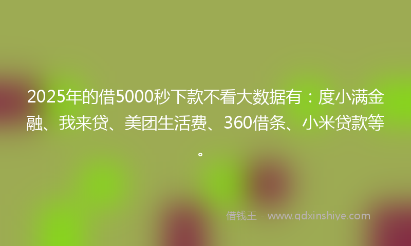 2025年的借5000秒下款不看大数据有：度小满金融、我来贷、美团生活费、360借条、小米贷款等。