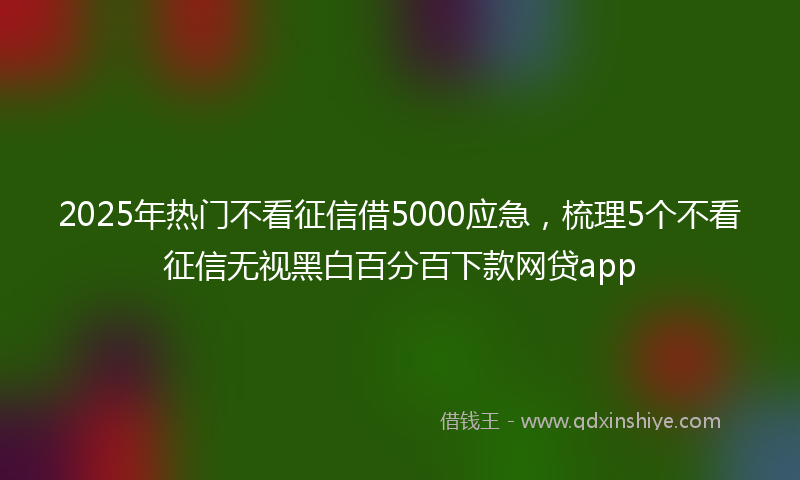2025年热门不看征信借5000应急，梳理5个不看征信无视黑白百分百下款网贷app