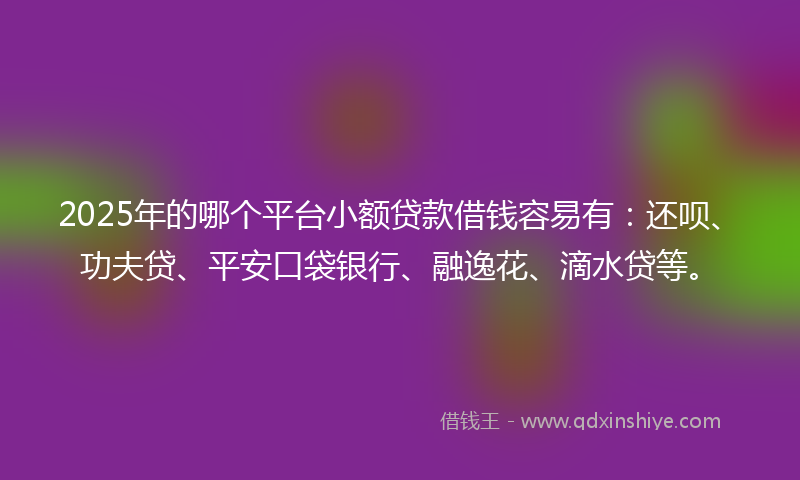 2025年的哪个平台小额贷款借钱容易有：还呗、功夫贷、平安口袋银行、融逸花、滴水贷等。
